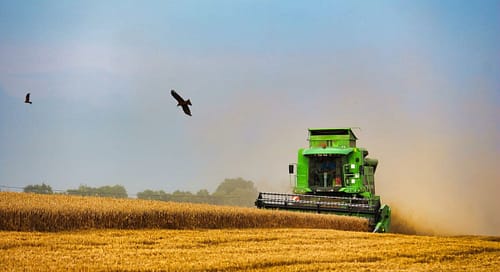 Lire la suite à propos de l’article Comice agricole