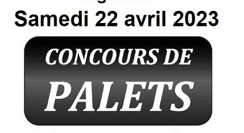 Lire la suite à propos de l’article Concours de palets